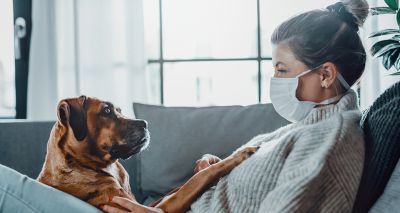 BVA responds to reports about vaccinating pets against COVID-19